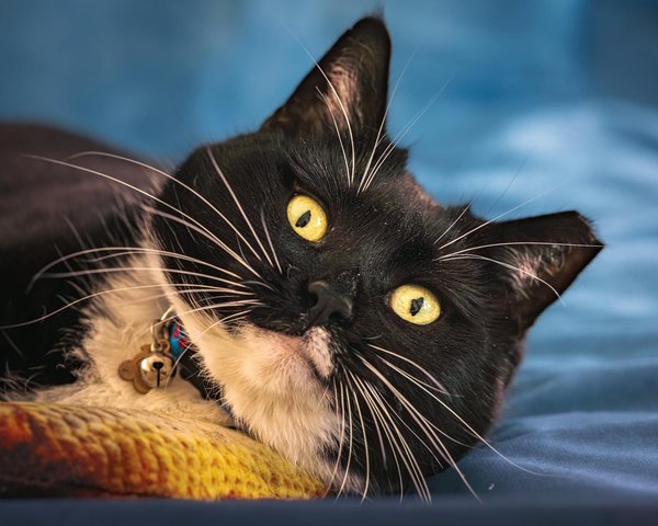 Briliantz: high-quality gel blasters and accessories for outdoor fun